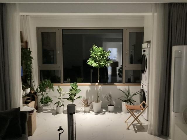 不只沙发爱奇艺，更是桌上生产力！iPad 2021从“普通”到“逆袭”