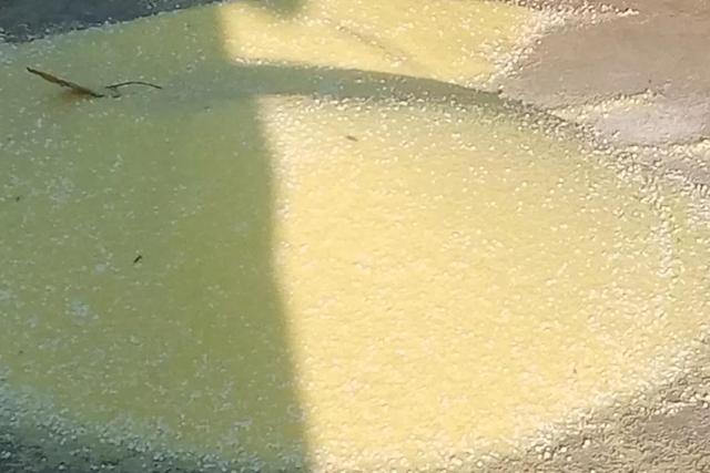 11.6尿素价格有涨有跌