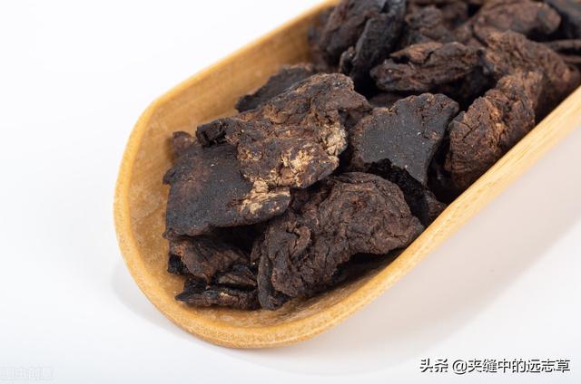 骨折，骨质疏松？送你六味中药，阴阳双补，活血化瘀