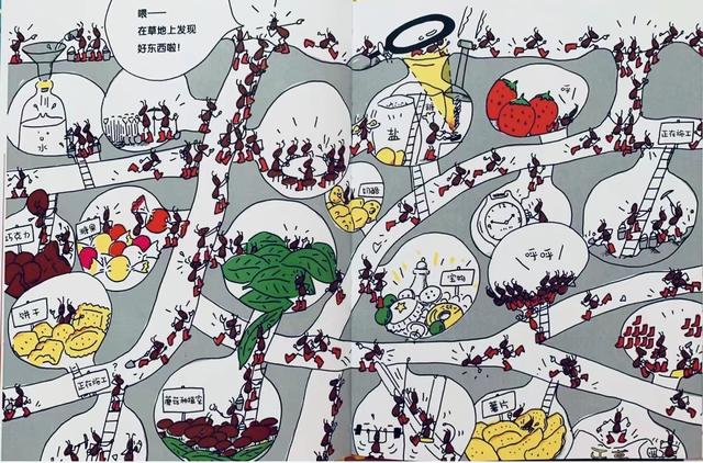 不需要花钱报班，一个绘本两种方法玩转注意力训练