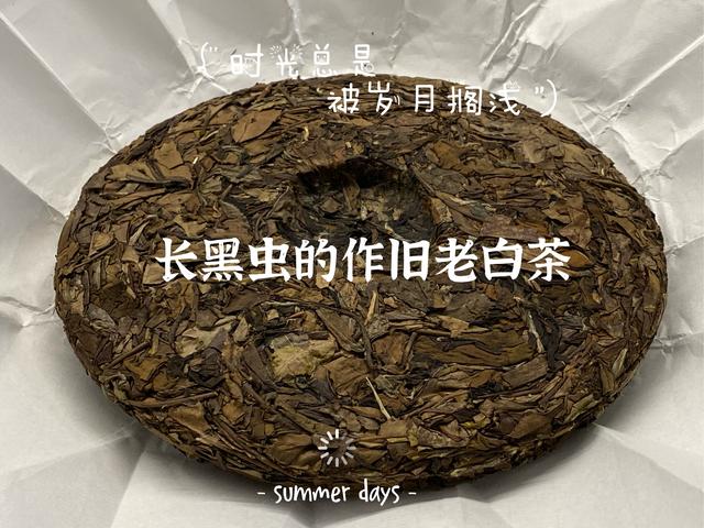 立夏洗砂机