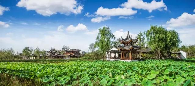 保山干式洗砂机多少钱一台