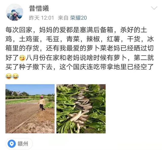 品读 | 箱子再大，也装不下爸妈的爱