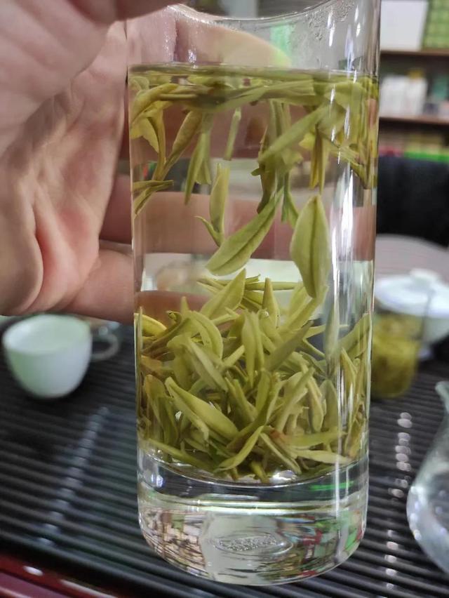 安吉白茶～