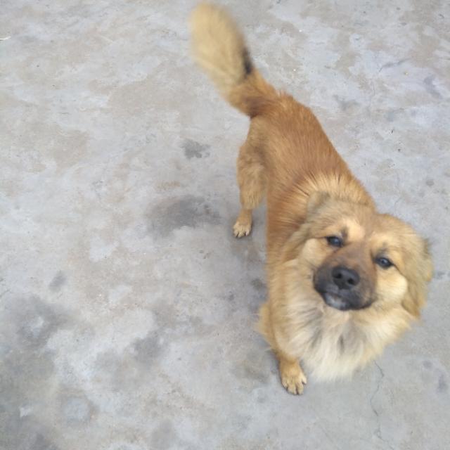 妖儿跳舞视频(妖儿跳舞视频大全)