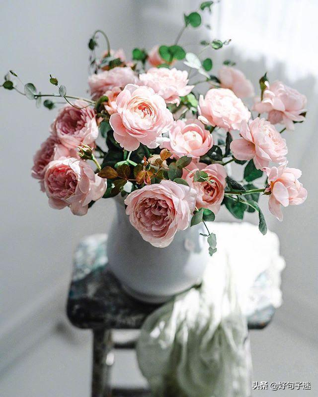 句子迷经典语录唯美人生的经典内涵的句子