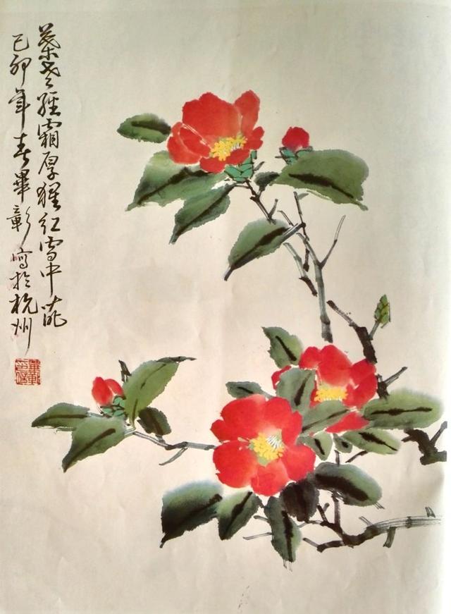 国画作品欣赏山茶花(10