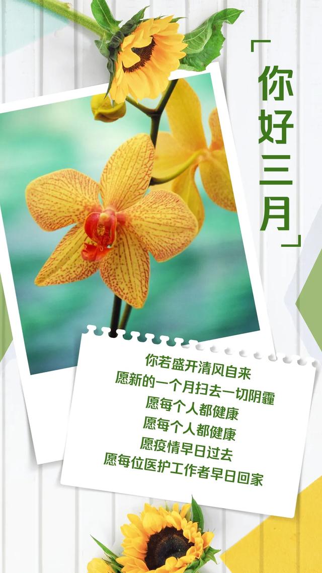 3月疫情时期正能量早安心语说说图片，肺炎疫情下最新早上好阳光问候语
