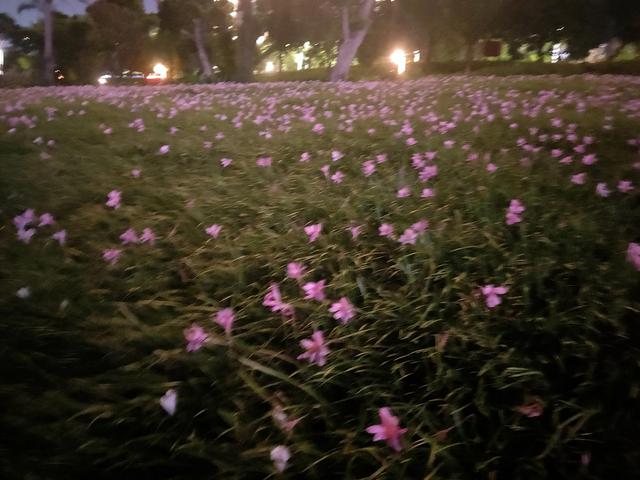 七绝· 中秋寄思