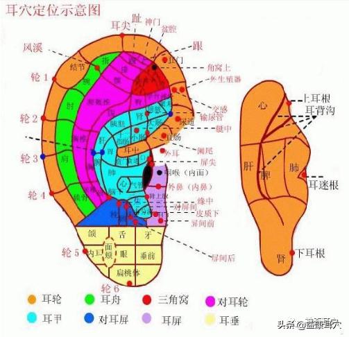 益康耳穴：耳穴疗法治疗疾病的原理是什么？