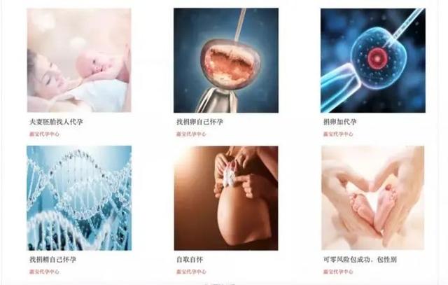 代孕是指什么意思