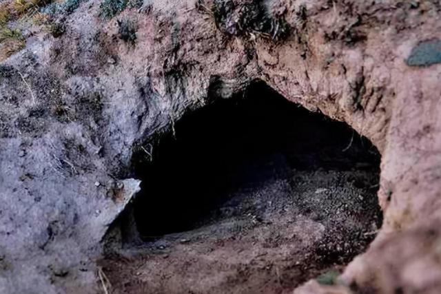 陕西一古代墓葬，其中陪葬人数达186人，耗费十年才找到主棺