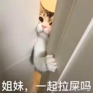 猫原来去猫砂盆现在到处尿（我家米桶被猫当猫砂盆了）(12)
