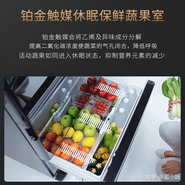 冰箱什么品牌最好（进口冰箱什么品牌最好）