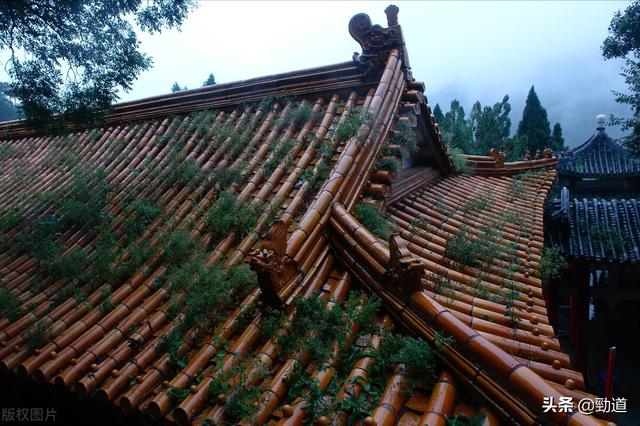 劲道：自驾游浙江“普陀山”攻略推荐