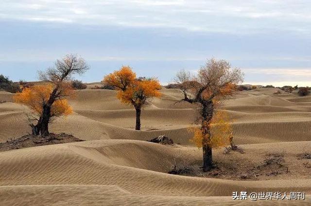 砂石中间商怎么挣钱