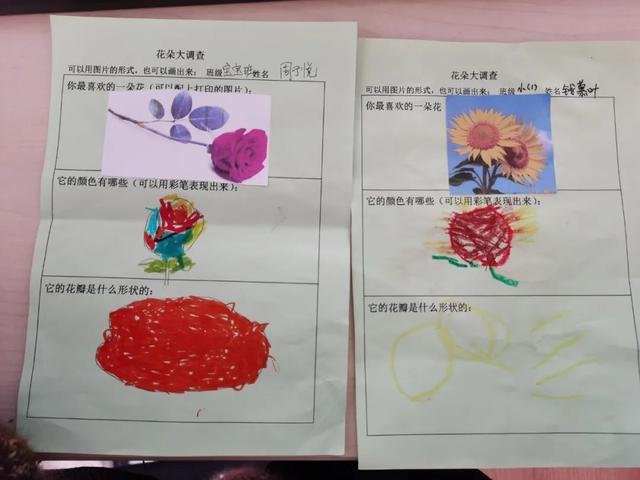 寻花之旅——友联幼儿园小班幼儿《花儿朵朵开》班本课题