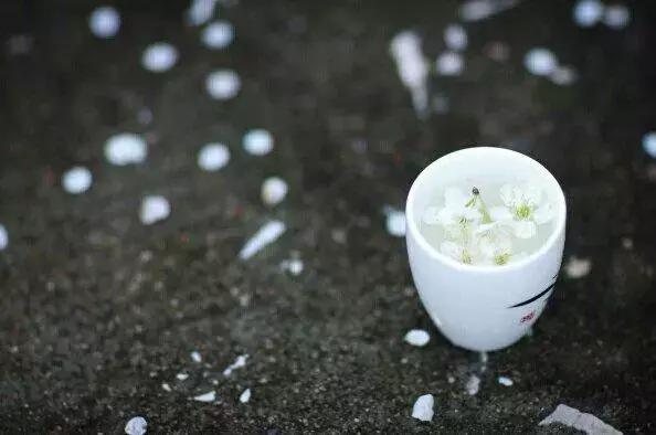 晚安句子181208：愿你余生自强到无需人疼无需人爱