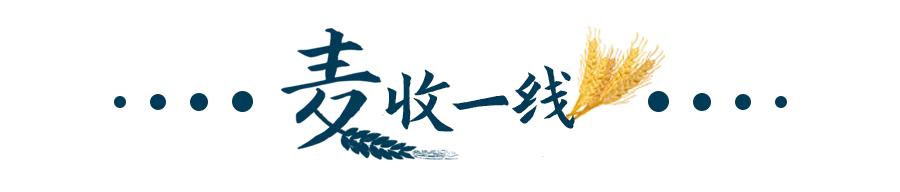 阜阳轮式洗砂机排行