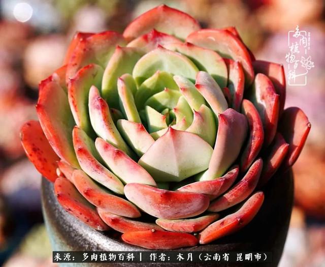 安康石英砂洗砂机厂家电话