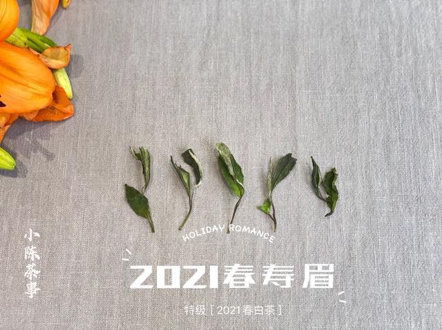 立夏洗砂机
