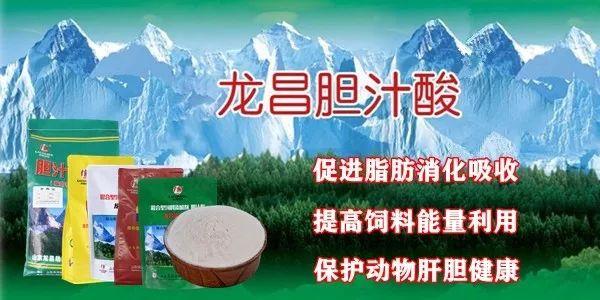 水产去鱼鳞