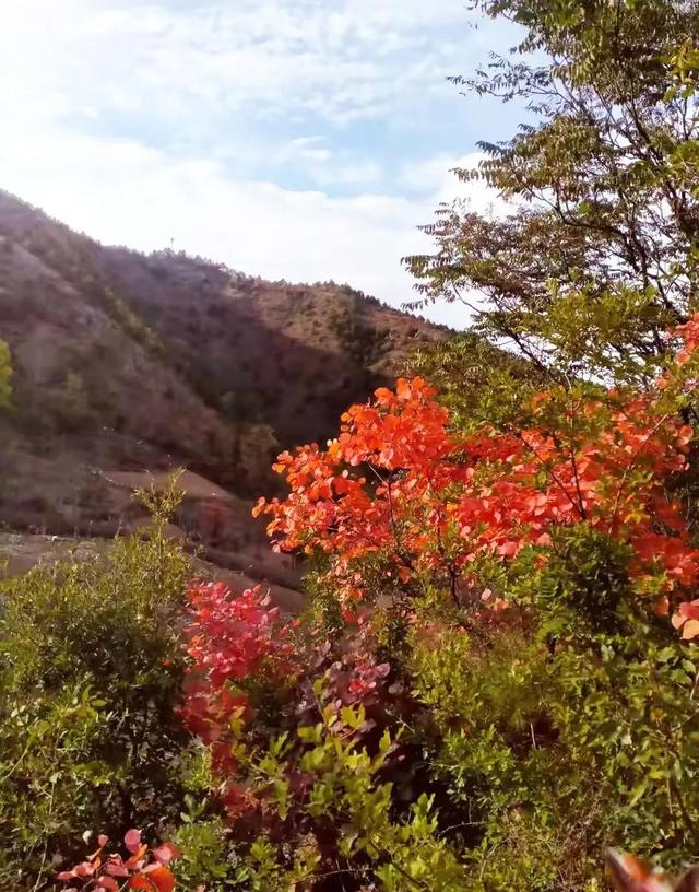 10月再见 11月你好 Zh中文网