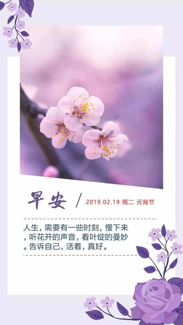 元宵节早安日签图片：愿你的世界犹如暖阳，明媚不忧伤