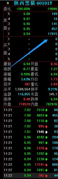 陕西黑猫股票为什么又跌停了