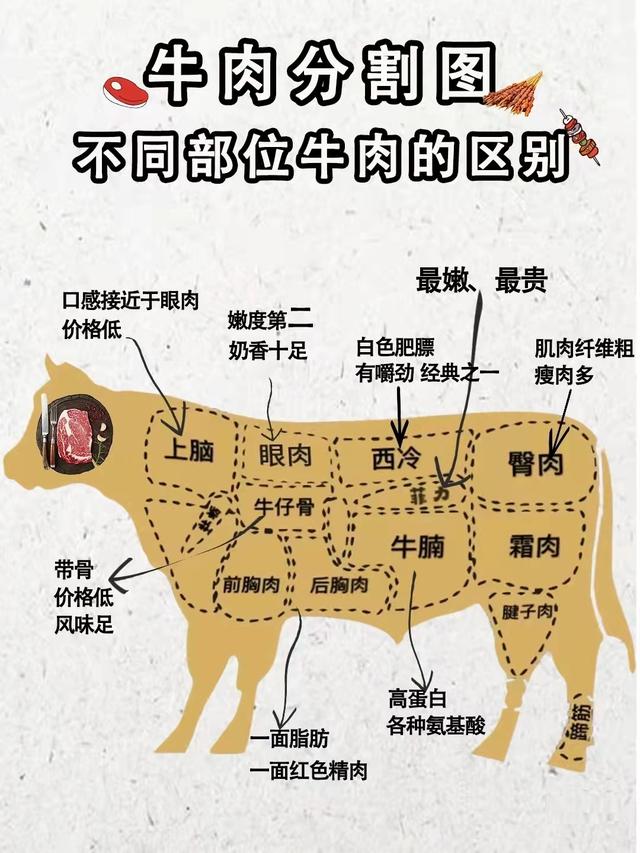 牛肉不同部位区别，美食口感自然不同