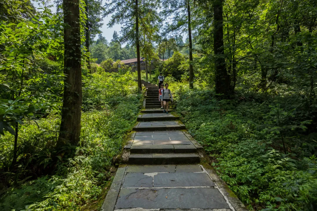 峨眉山独特的住宿方式（峨眉山寺院住宿体验）