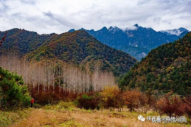 陕西黑河森林公园