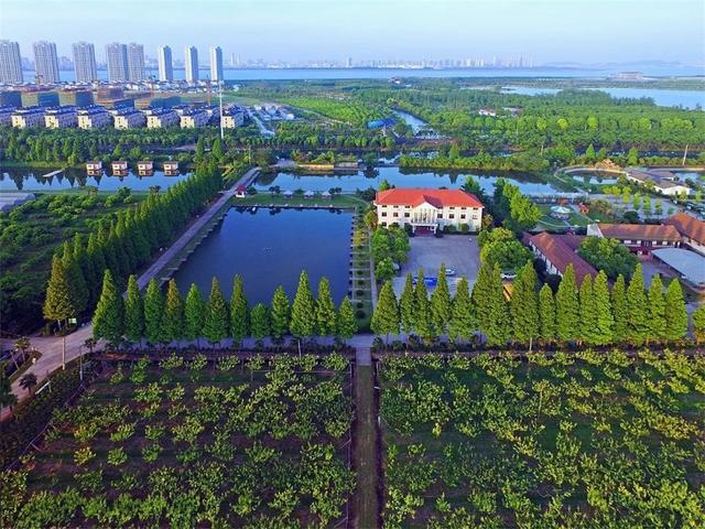 杭州公司团建适合去的地方