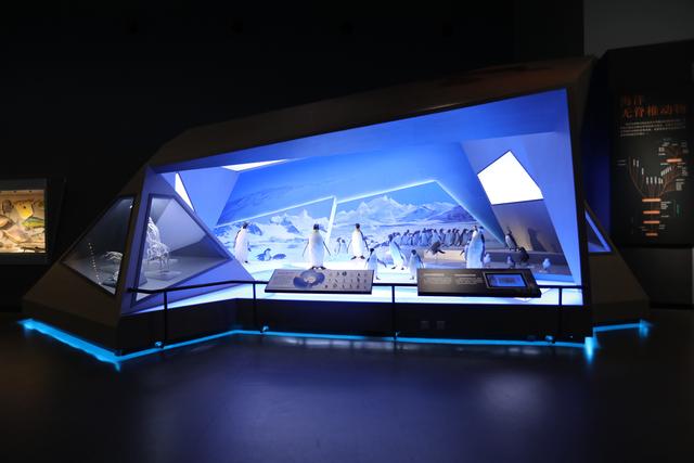 上海博物馆展陈工程决算报告
