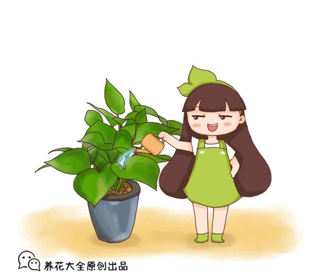 鱼缸BY阿司匹林