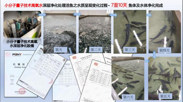叶片过滤机的震动器不震了啥原因呀