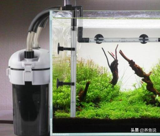 水族箱过滤器