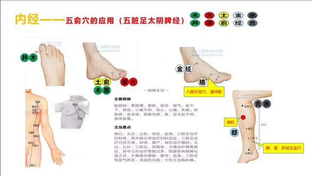 五输穴的位置及应用