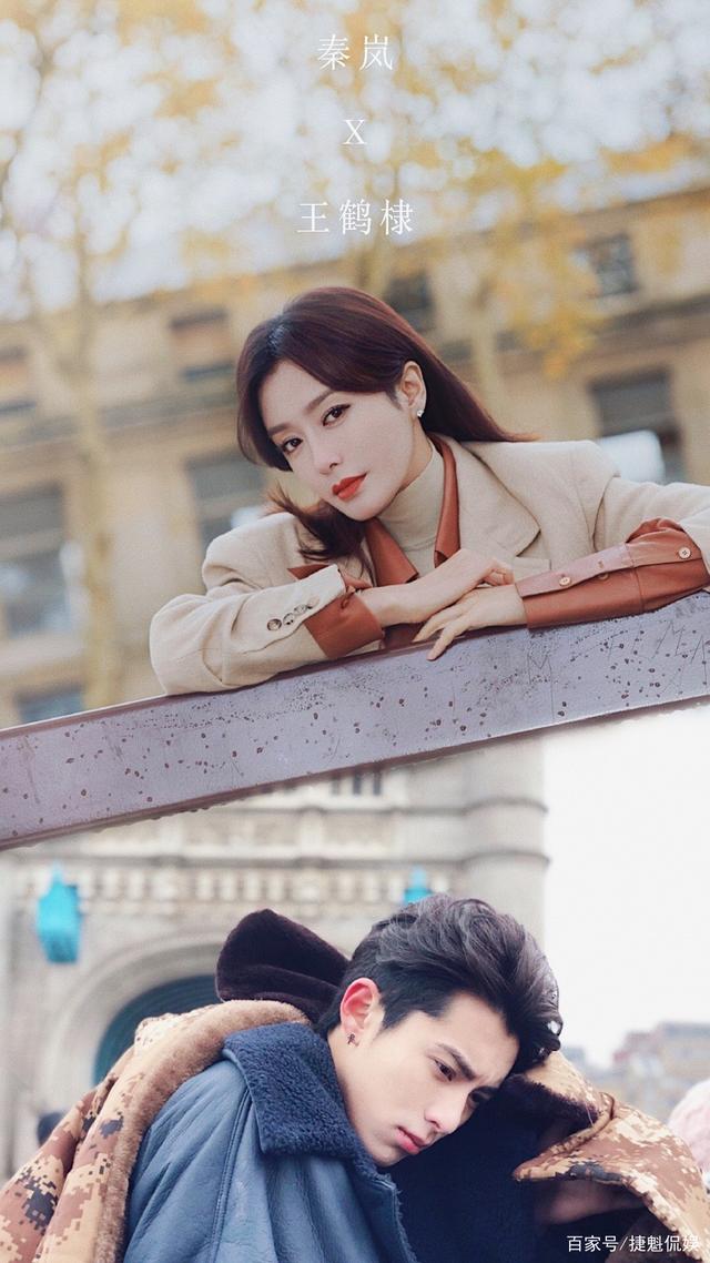 该剧由秦岚,王鹤棣,李宗翰领衔主演,潘虹,陈鹏万里,马小钦,康亢