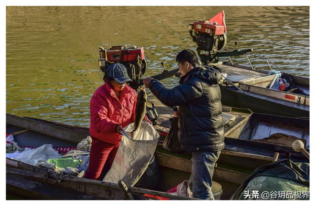 大海是渔民的什么