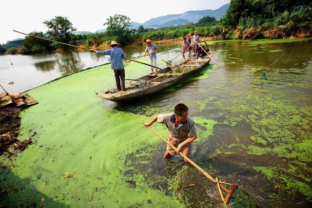 广州抽沙挖斗式洗砂机的简单介绍
