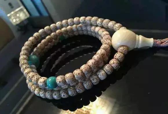 鱼鳞菩提和矮桩金刚菩提