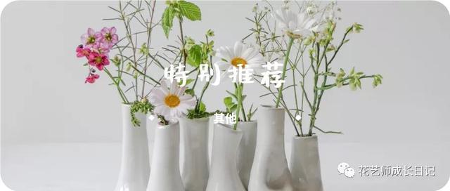 草莓花束图片大全(草莓做花束搭配图片)