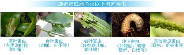 土里撒点杀虫药，虫子全死光，用了你就知道9