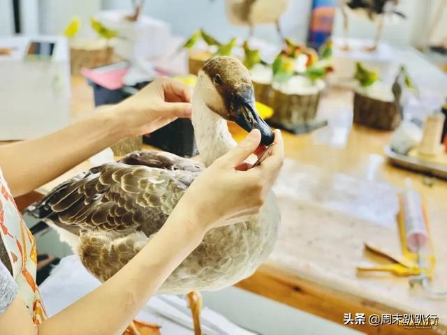 亲子打卡！科学探索，细菌好有趣啊，参观1000+件标本