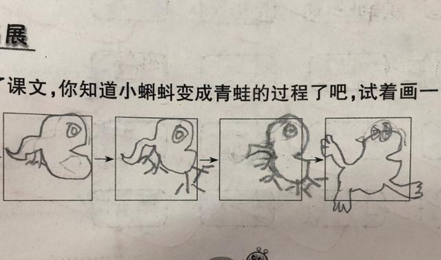 青蛙怎么画