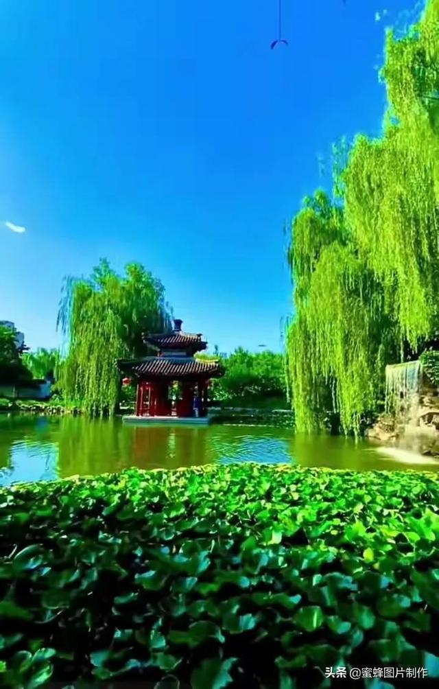 美好的东西分享给大家，特别是第十一张