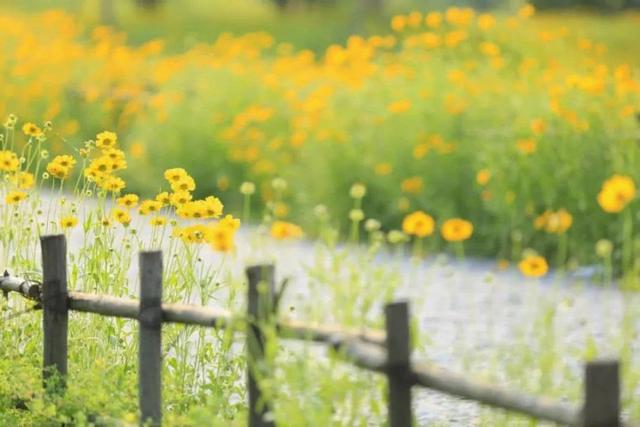 享受生活的唯美句子慢煮光阴惬意安然