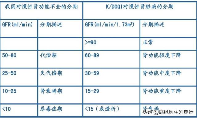 生化egfr检查什么意思