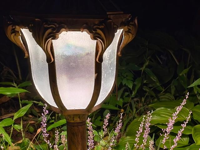 意不意外？ 华为P50 Pro首测2: 网友要求再拍10组对比， 逼出它影像极限